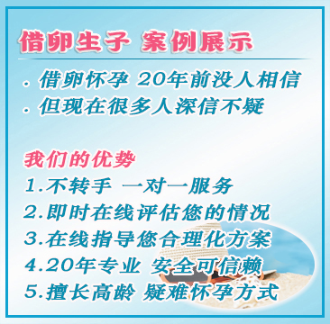 美国代孕服务