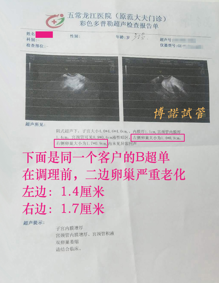 美国代孕医院.jpg