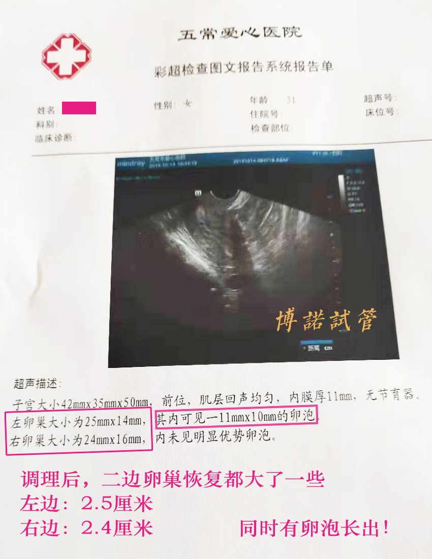 美国代孕招聘网.jpg