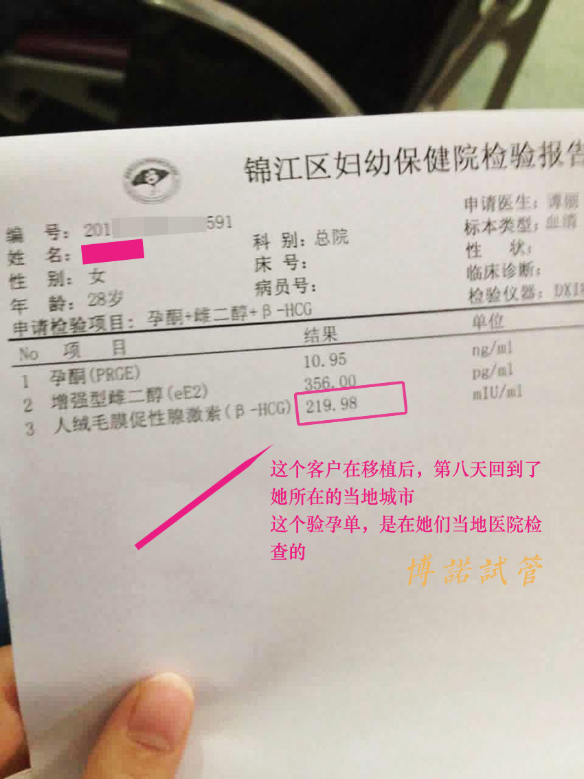 美国代孕试管婴儿.jpg