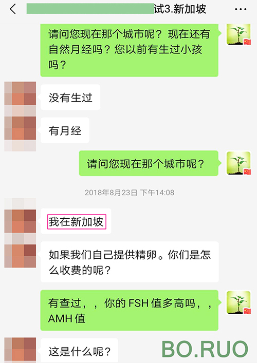 代孕服务 - 新加坡代孕咨询