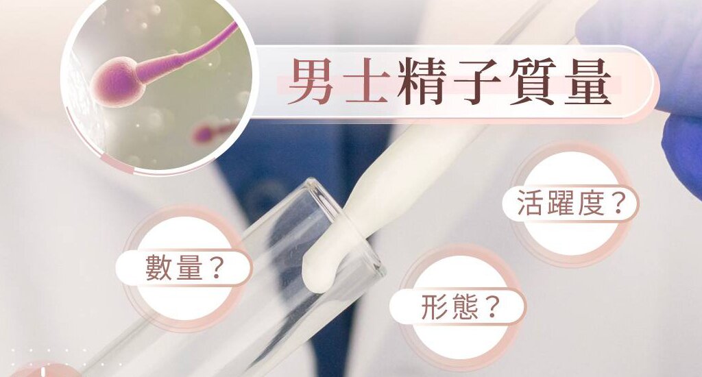 美国代孕：试管婴儿的实施步骤