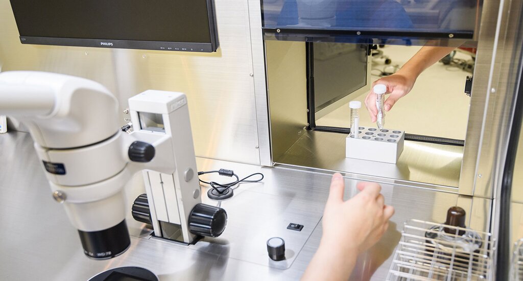 美国代孕公司：让爱与生命重新被点亮