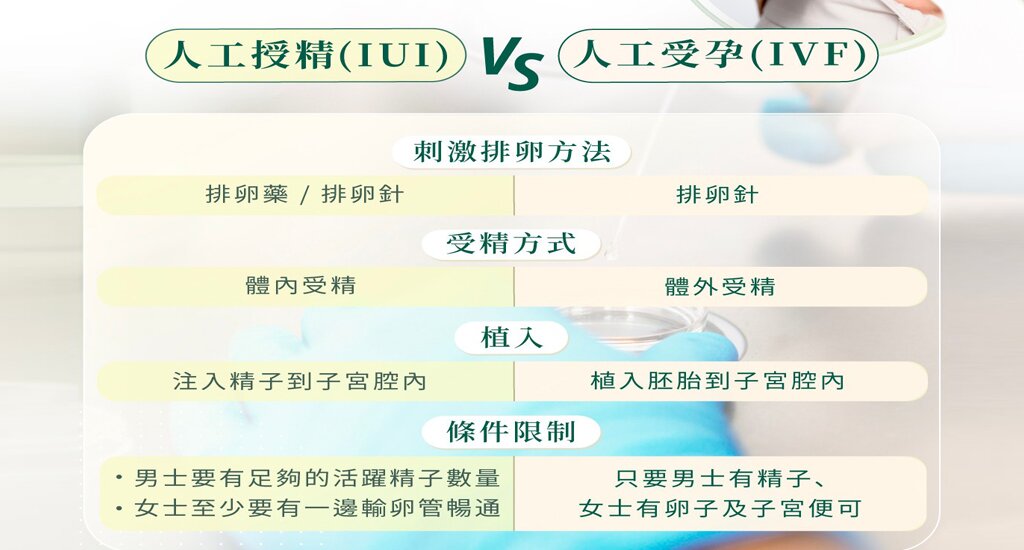 美国代孕公司：美国代孕公司成就母爱的奇迹